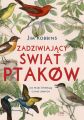 Zadziwiajacy swiat ptakow