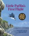 Little Puffin's First Flight