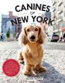 Canines of New York