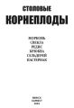 Столовые корнеплоды. Морковь, свекла, редис, брюква, сельдерей, пастернак