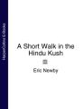 A Short Walk in the Hindu Kush