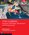 Gym Climbing