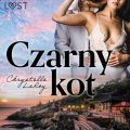 Czarny kot – opowiadanie erotyczne