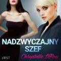 Nadzwyczajny szef – opowiadanie erotyczne