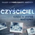 Czysciciel 5: Jestes nastepny