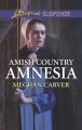 Amish Country Amnesia