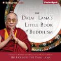 Dalai Lama's Little Book of Buddhism