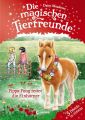 Die magischen Tierfreunde - Pippa Pony rettet die Einhorner