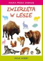 Zwierzeta w lesie