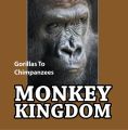 Monkey Kingdom: Gorillas To Chimpanzees