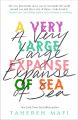 A Very Large Expanse of Sea