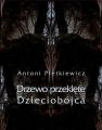 Drzewo przeklete. Dzieciobojca