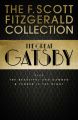 F. Scott Fitzgerald Collection: The Great Gatsby, The Beautiful and Damned and Tender is the Night