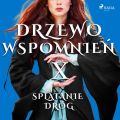 Drzewo Wspomnien 10: Splatanie drog