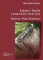 Literatura i filozofia w poszukiwaniu sztuki zycia: Nietzsche, Wilde, Shusterman