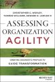 Assessing Organization Agility