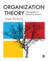 Organization Theory