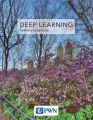 Deep Learning