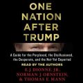 One Nation After Trump