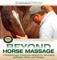 Beyond Horse Massage