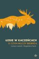 Losie w kaczencach