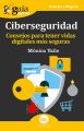 GuiaBurros: Ciberseguridad