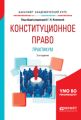 Конституционное право. Практикум 2-е изд., испр. и доп. Учебное пособие для академического бакалавриата