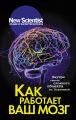 Как работает ваш мозг. Внутри самого сложного объекта во Вселенной