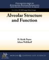 Alveolar Structure and Function