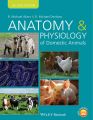 Anatomy and Physiology of Domestic Animals