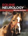 Equine Neurology