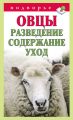 Овцы. Разведение. Содержание. Уход