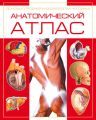 Анатомический атлас. Основы строения и физиологии человека