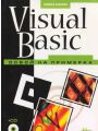 Visual Basic.   